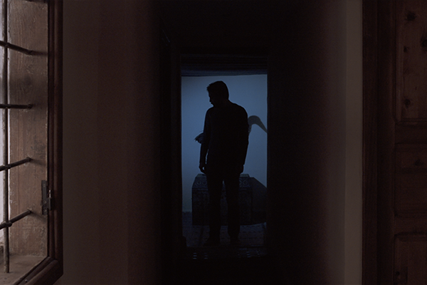 still photo