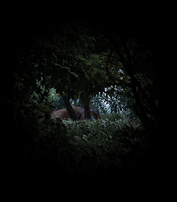 Pimeä kuva, jonka keskellä näkyy pyöreä ikkuna metsään, josta kurkkaa oranki.