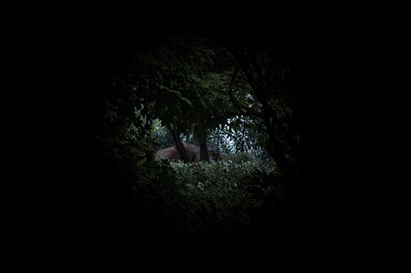 Pimeä kuva, jonka keskellä näkyy pyöreä ikkuna metsään, josta kurkkaa oranki.