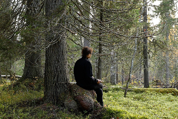 Mustapukuinen hahmo istuu aurinkoisessa metsässä selin kuvaajaan.